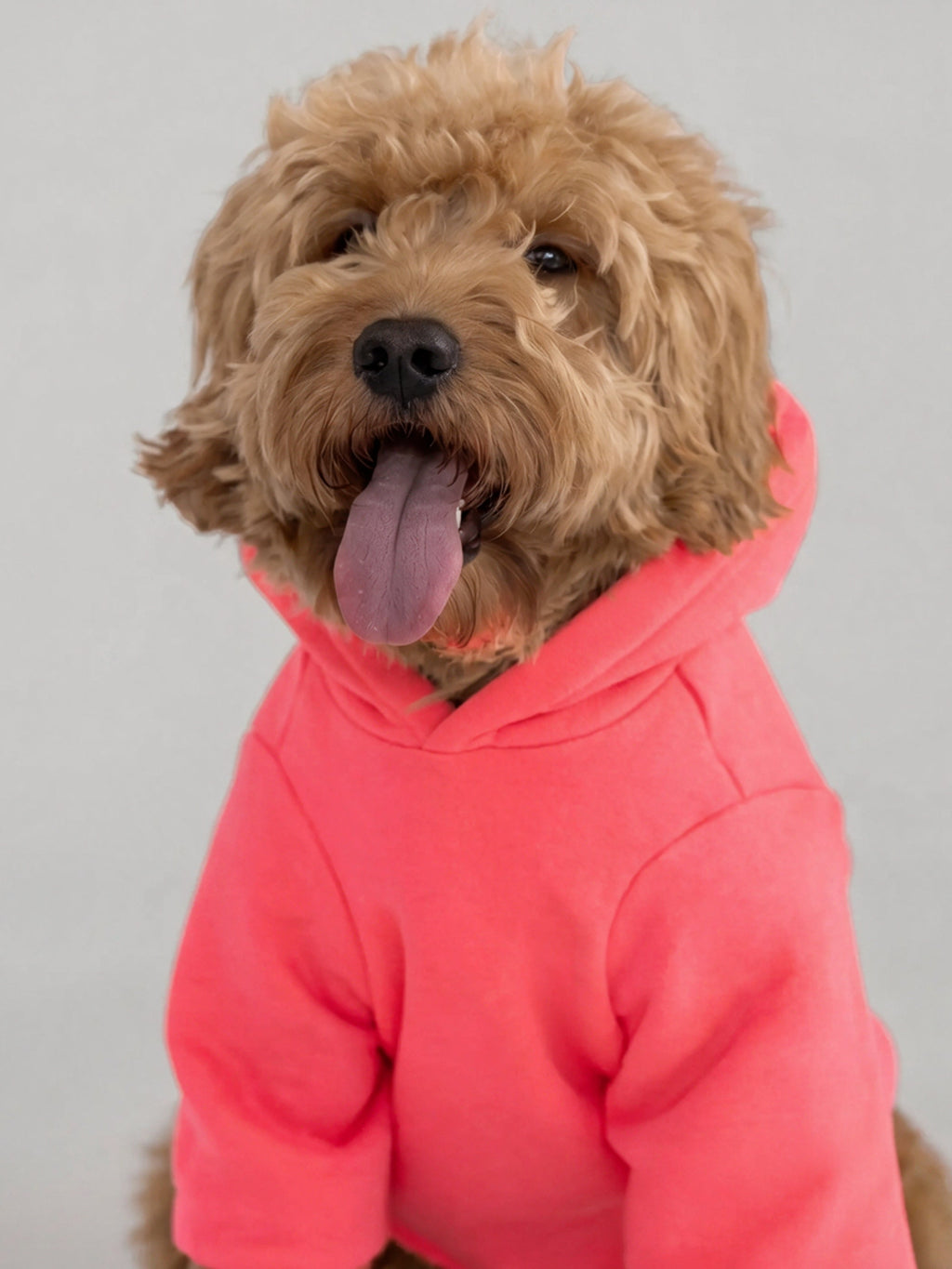 Tranquil Paw Hoodie
