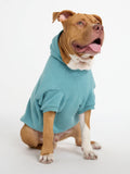 You Matter Paw Hoodie
