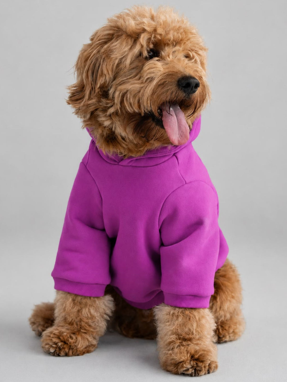 VIP Exclusive Tranquil Paw Hoodie