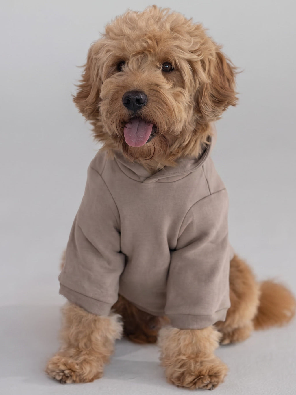 Tranquil Paw Hoodie