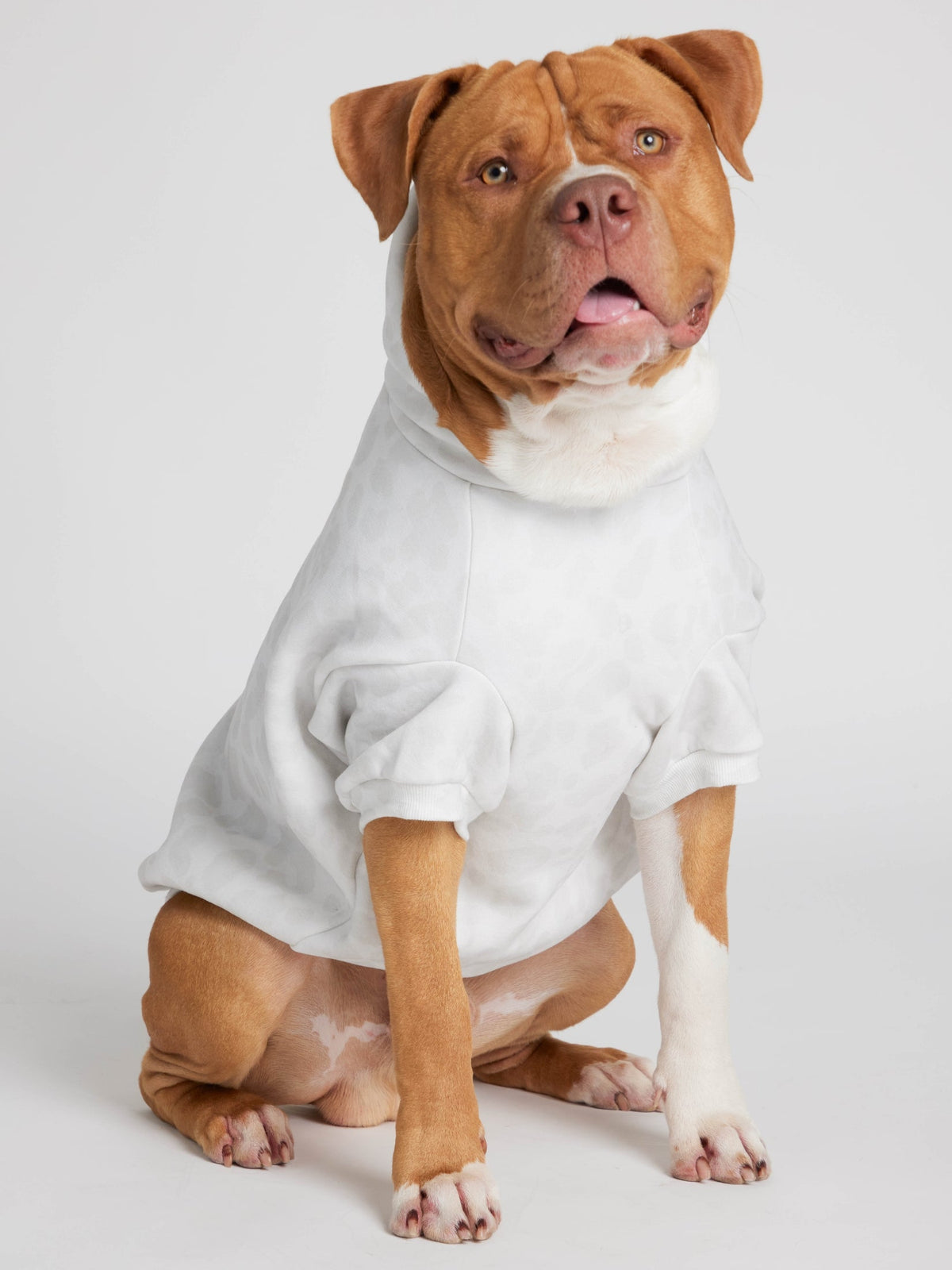 Minimalist Paw Hoodie
