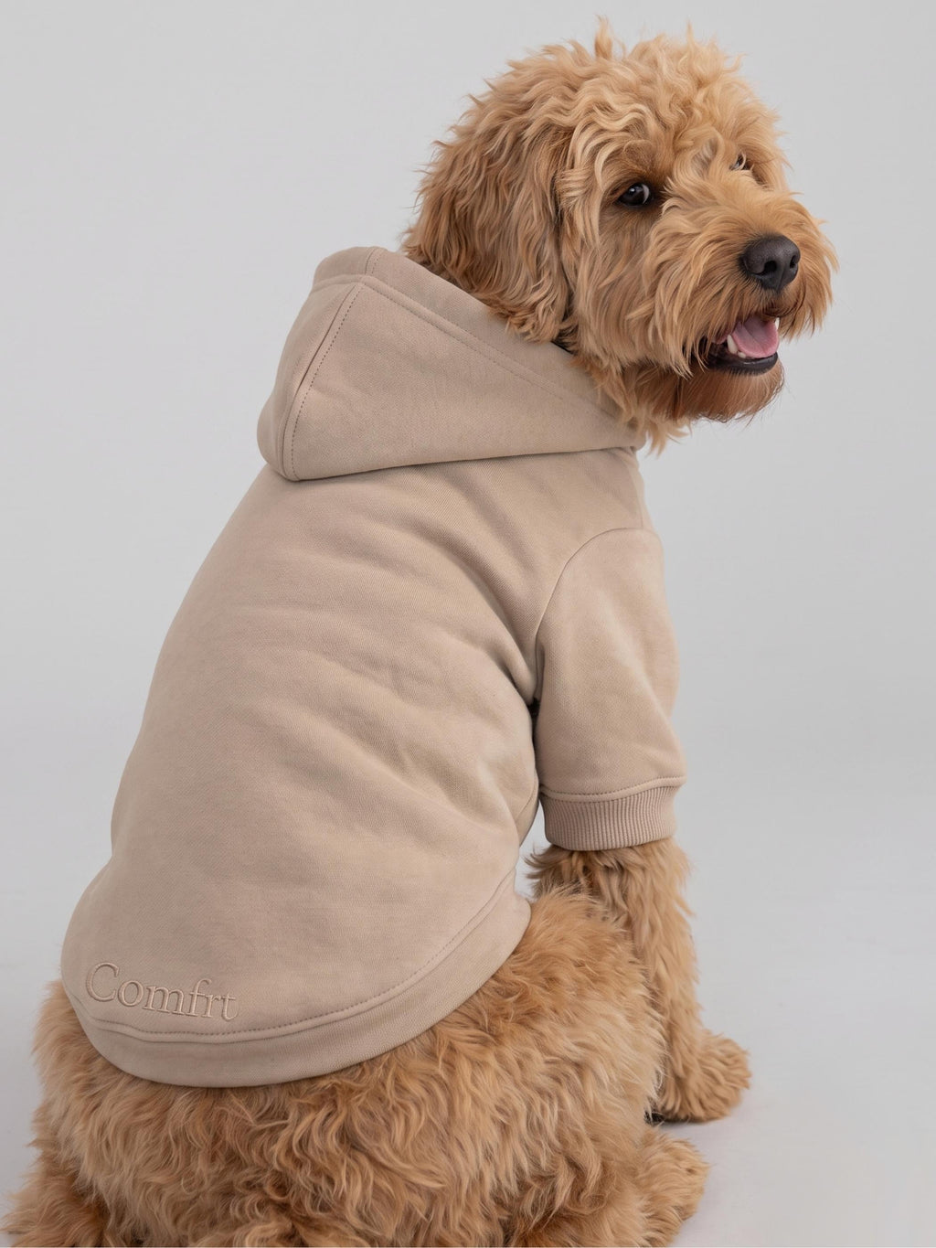 Minimalist Paw Hoodie