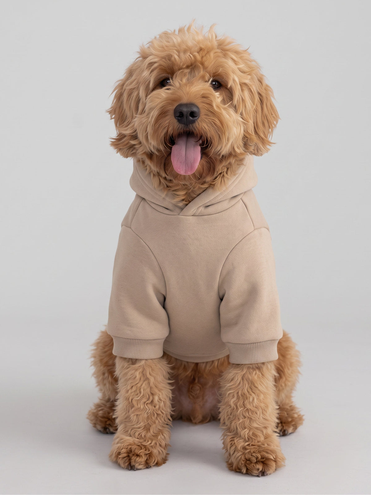 Minimalist Paw Hoodie
