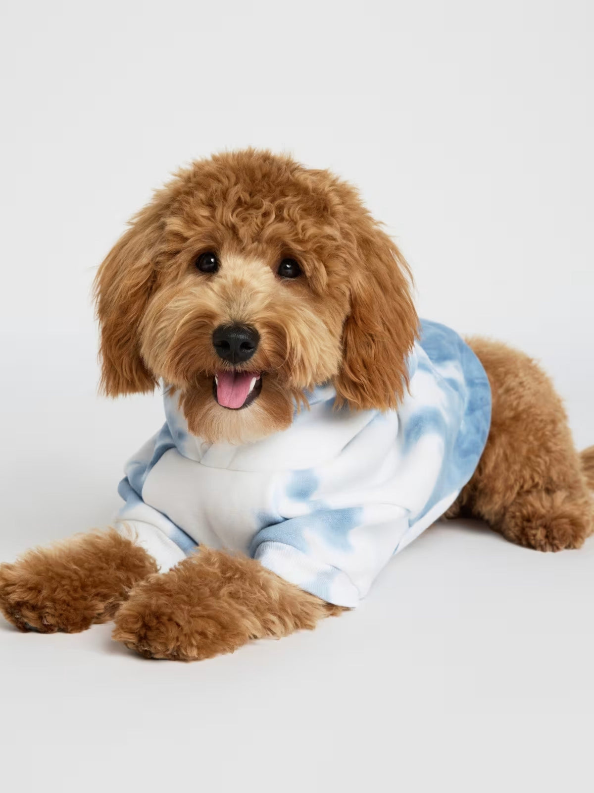 Minimalist Paw Hoodie