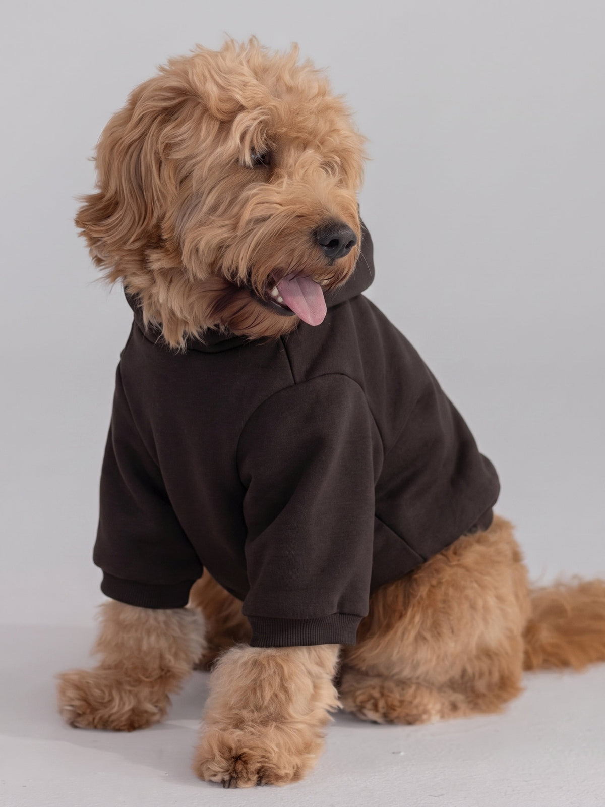 Tranquil Paw Hoodie
