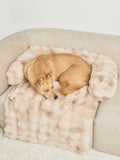 Dream Cloud Pet Sofa Bed