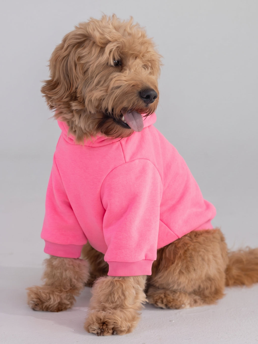 Tranquil Paw Hoodie