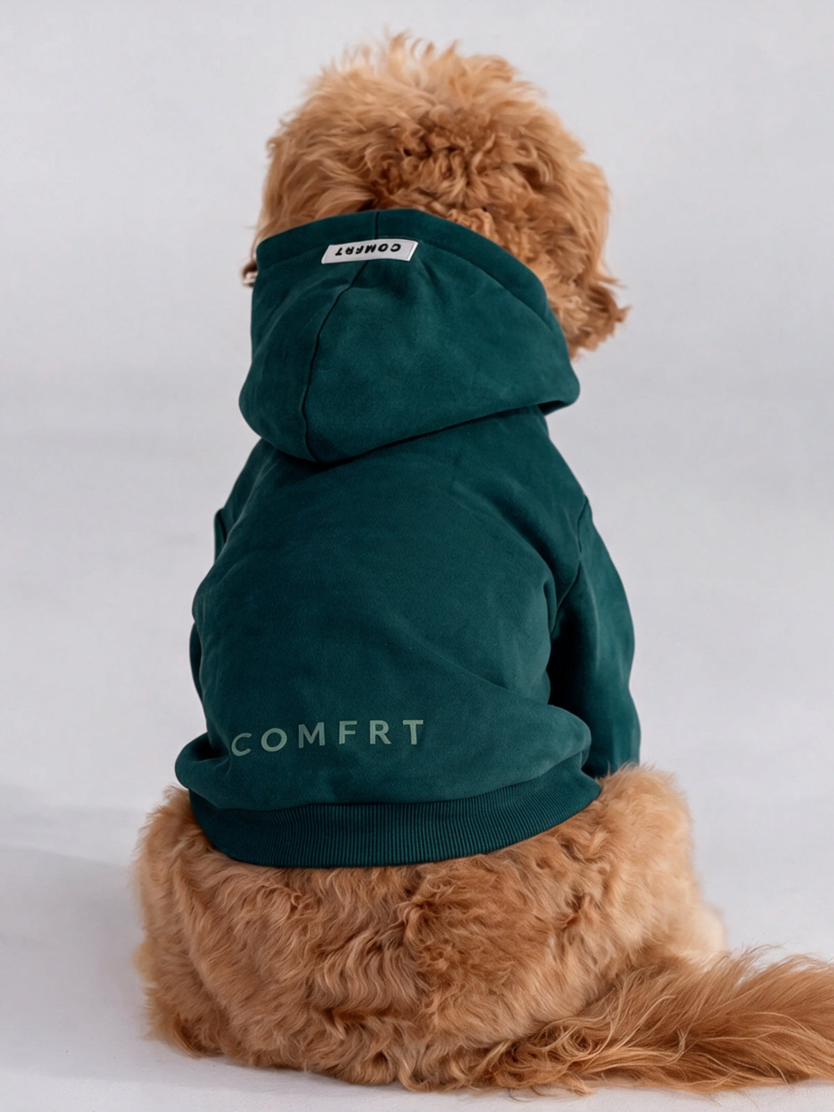 Tranquil Paw Hoodie