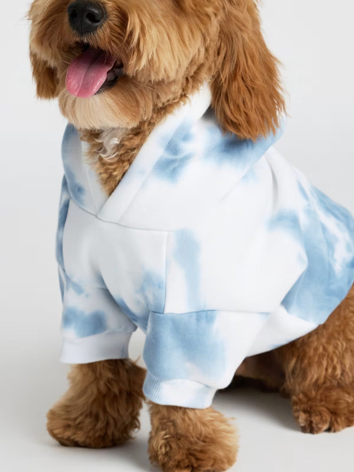Minimalist Paw Hoodie