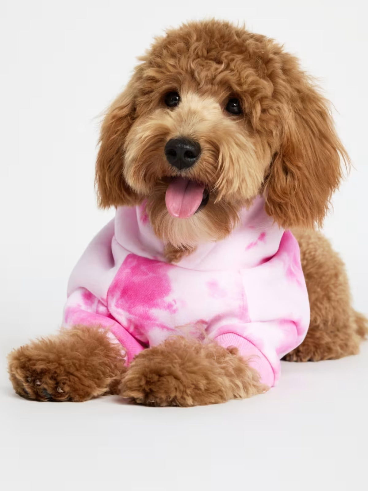 Minimalist Paw Hoodie
