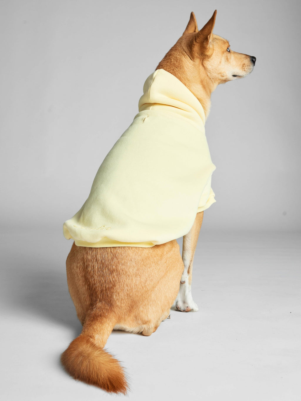 Minimalist Paw Hoodie