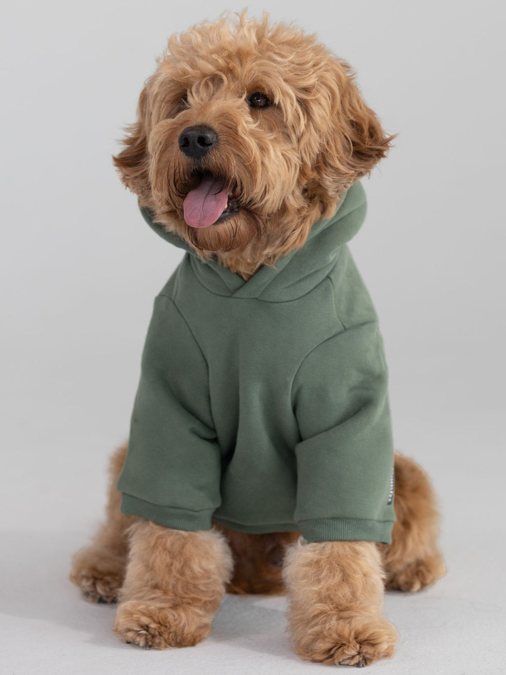 Standard Paw Hoodie